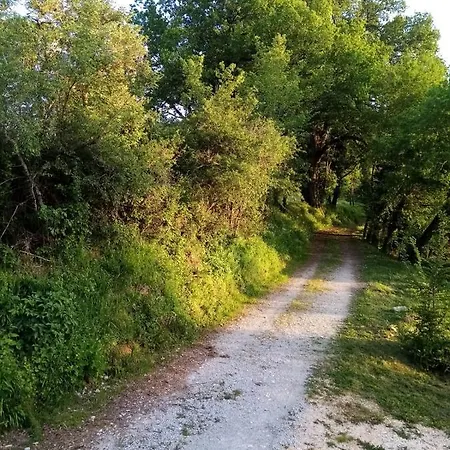 Appartement Le Nid D'ete
