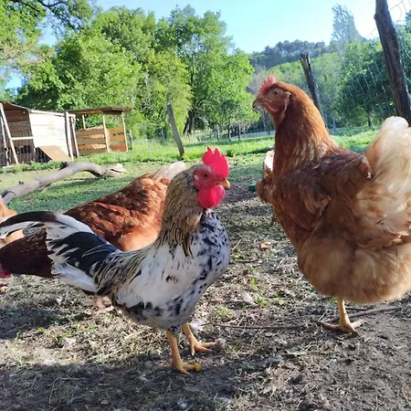 Appartement Le Nid D'été Montcléra