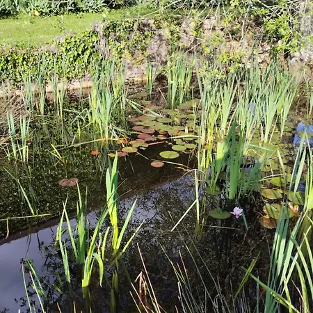 Le Nid D'ete Appartement *