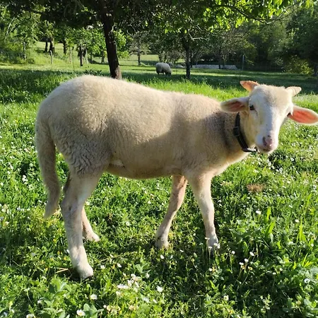 Le Nid D'ete Appartement Montcléra