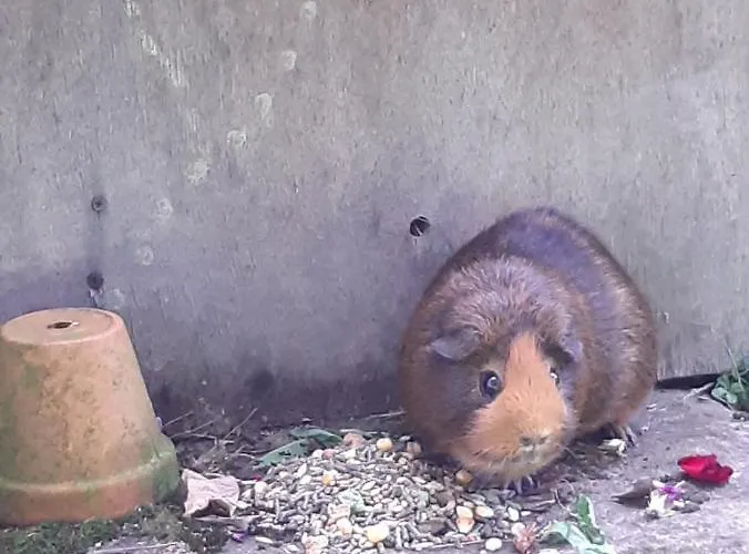Apartment Le Nid D'ete Montcléra
