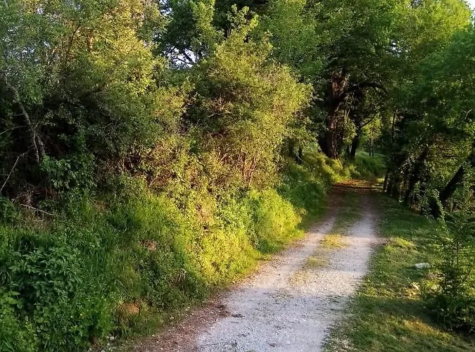 Apartment Le Nid D'ete